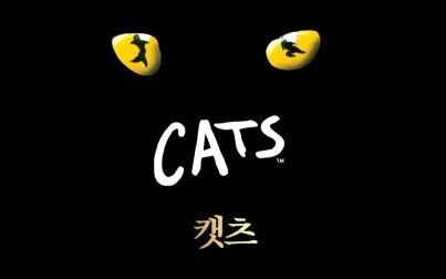 [图]音乐剧 Cats 猫 2013年 韩国校园版演出