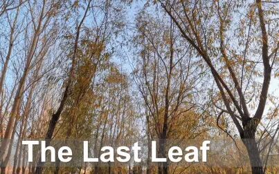 [图]The Last Leaf