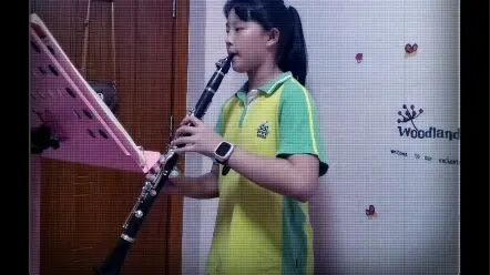 [图]韦伯小协奏曲