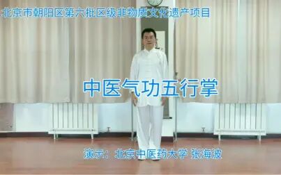 [图]【中医气功】中医气功五行掌