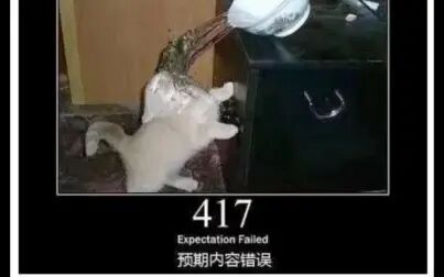 [图]错误指令猫猫