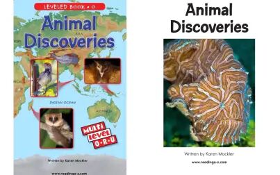 [图]Animal Discoveries