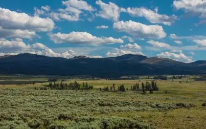 [图]黄石公园 Yellowstone National Park - 4K