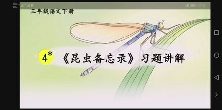 [图]《昆虫备忘录》习题讲解