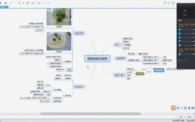 [图]植物组织培养思维导图复习课