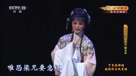 [图]越剧《梁山伯与祝英台·楼台会》(钱惠丽、李敏主演)