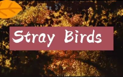 [图]Stray Birds