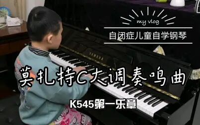 [图]【自闭症儿童自学钢琴】莫扎特C大调奏鸣曲 K545第一乐章