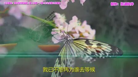 [图]经典老歌歌曲名字大全《再没有你的温柔+爱上你是一个错+怎么会