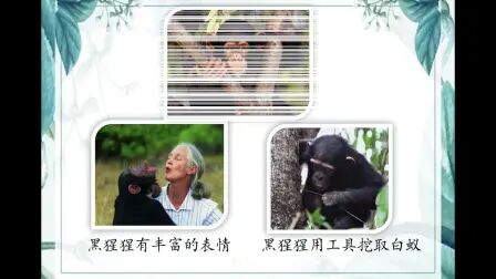 [图]苏科版生物八下23.4《人类的起源和进化》