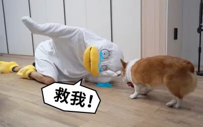item.title