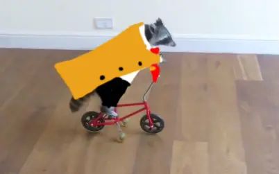 item.title