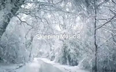 [图]Sleeping Music 9 森林中的暴雪声