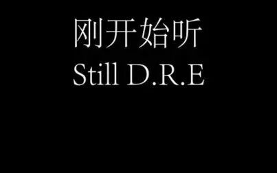 [图]当接触到了Still D.R.E后