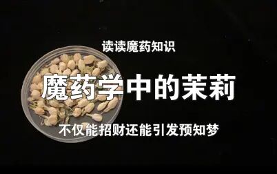 [图]魔药学入门/茉莉(不仅招财还能引发预知梦