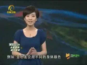 [图]自然密码2011年8月