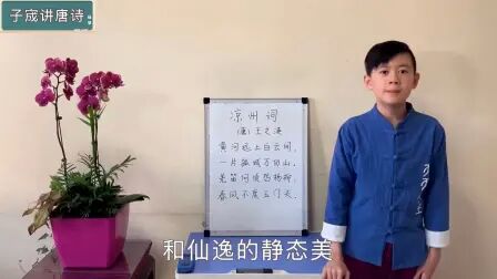 [图]《子宬讲唐诗》第19集- -王之涣《凉州词》