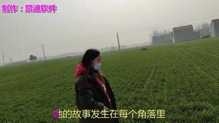 [图]《美丽的笨女人》歌曲mv下载 高清mp4dj