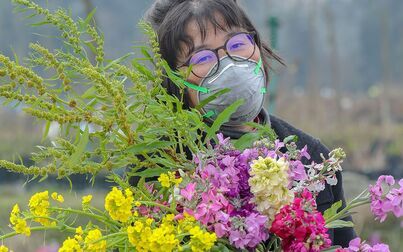 [图]紫罗兰都开啦,我还是自己剪下来留着欣赏吧!