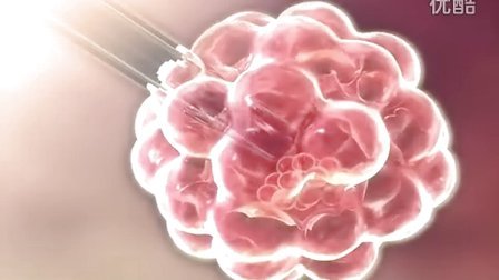 [图]Stem Cells