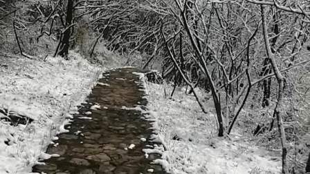 [图]南山雪