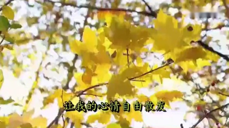 [图]《拉拉爱》DJ舞曲版聆听精致好音乐