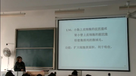 [图]组织学与胚胎学-上皮组织