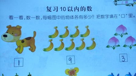 [图]幼儿园快乐成长课程 大班 数学 上册 复习10以内的数