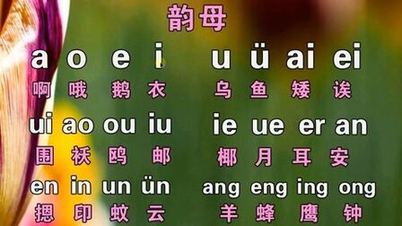 [图]汉语拼音字母表零基础入门教程,学好拼音,打字轻松,简单又好学