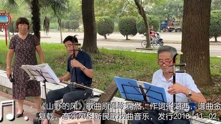 [图]黄梅戏电视剧《严凤英·山野的风》主题曲:无为市民休闲表演文艺