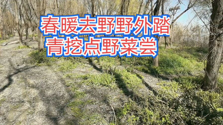 [图]早春天气晴朗野外踏青所见