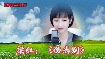 [图]梁红演唱歌曲《伤别离》DJ版,一首动感欢快的歌曲,非常好听