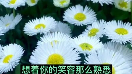 [图]歌曲《无法忘记你》