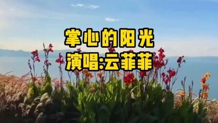 [图]云菲菲一首《掌心的阳光》走出那些旧梦如霜,掌心依然握住阳光