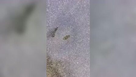 item.title