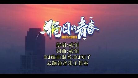 [图]贰佰-狗日的青春(DJ知了 Remix)云蹦迪DJ音乐工作室