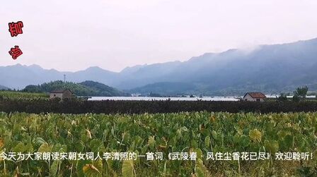 [图]...《武陵春·风住尘香花已尽》#新星v计划##新晋红人榜#CCTV朗读者...