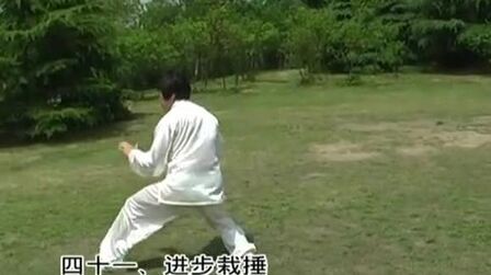 [图]88式形意太极拳 标清