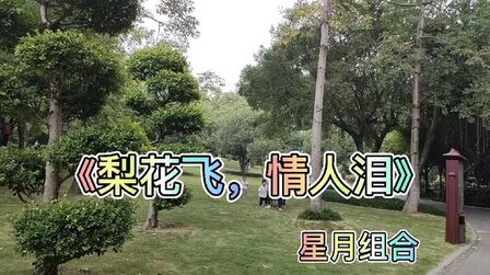 [图]《梨花飞情人泪》星月组合