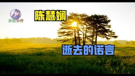 [图]经典歌曲 陈慧娴 【逝去的诺言】改编DJ版