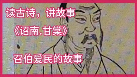 [图]读古诗讲故事,《诏南.甘棠》召伯爱民于甘棠树下办公的故事。