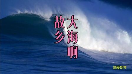 [图]二胡演奏老歌《大海啊,故乡》