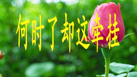 [图]一曲男女对唱情歌《何时了却这牵挂》歌声温柔甜蜜,旋律动听醉人