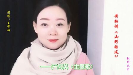 [图]戏曲 黄梅戏《山野的风》安徽寿县王帮梅精彩演绎