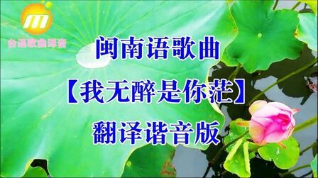 [图]翻译谐音-闽南语歌曲(我无醉是你茫)歌词中文汉字注音版-原唱童欣