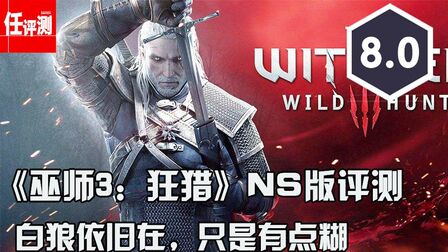 [图]《巫师3:狂猎》NS版评测8分:白狼依旧在,只是有点糊