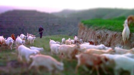 [图]排箫The Lonely Shepherd(孤独的牧羊人)