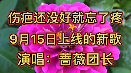 [图]《伤疤还没好就忘了疼》多少杯才能回到曾经?伤疤还没好就忘了疼