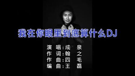 [图]成泉-我在你眼里到底算什么DJ版-(国语)