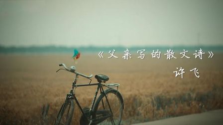 [图]许飞《父亲写的散文诗》mv,十分感动人的一首歌!